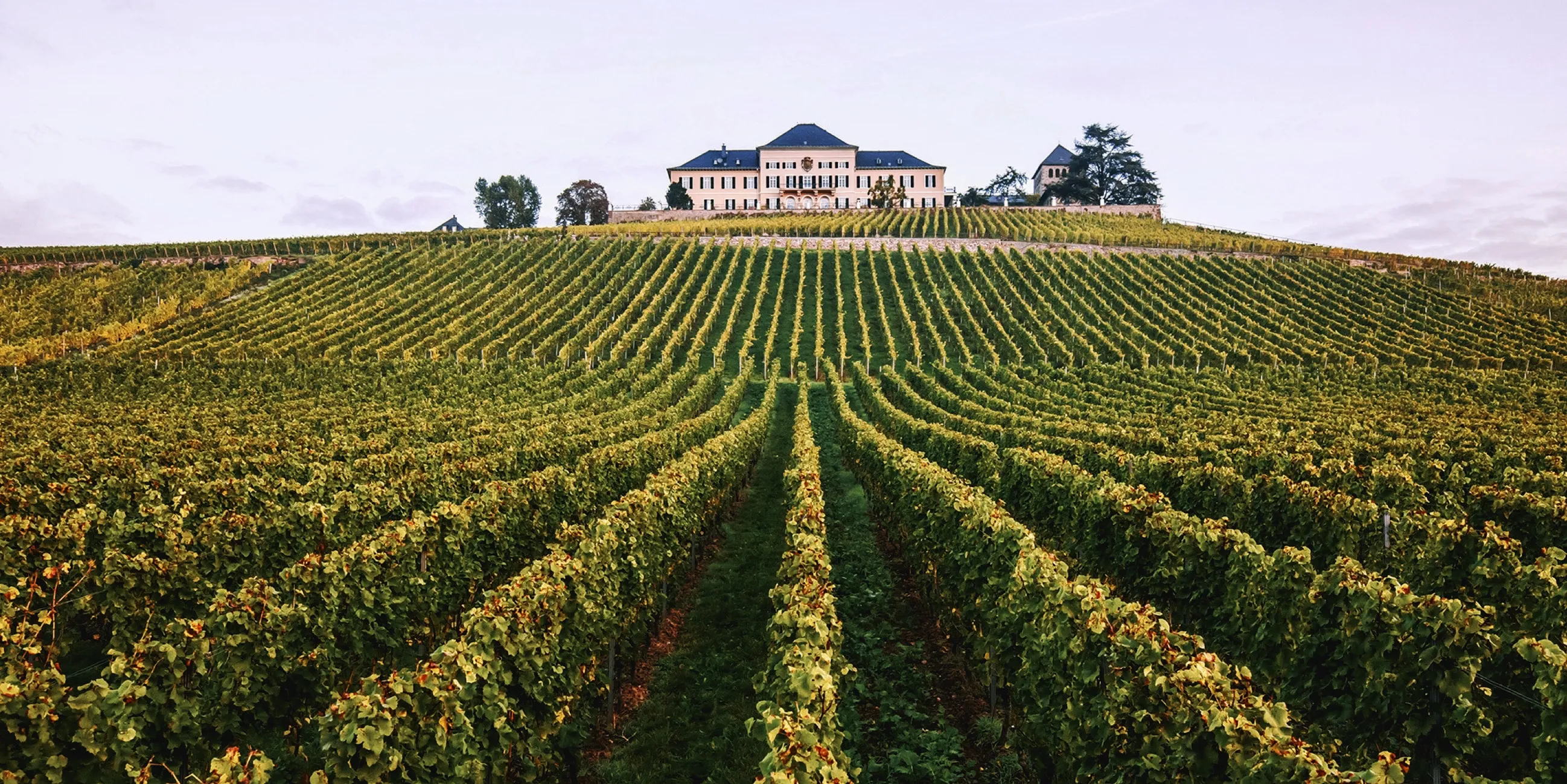 Vinařství Schloss Johannisberg