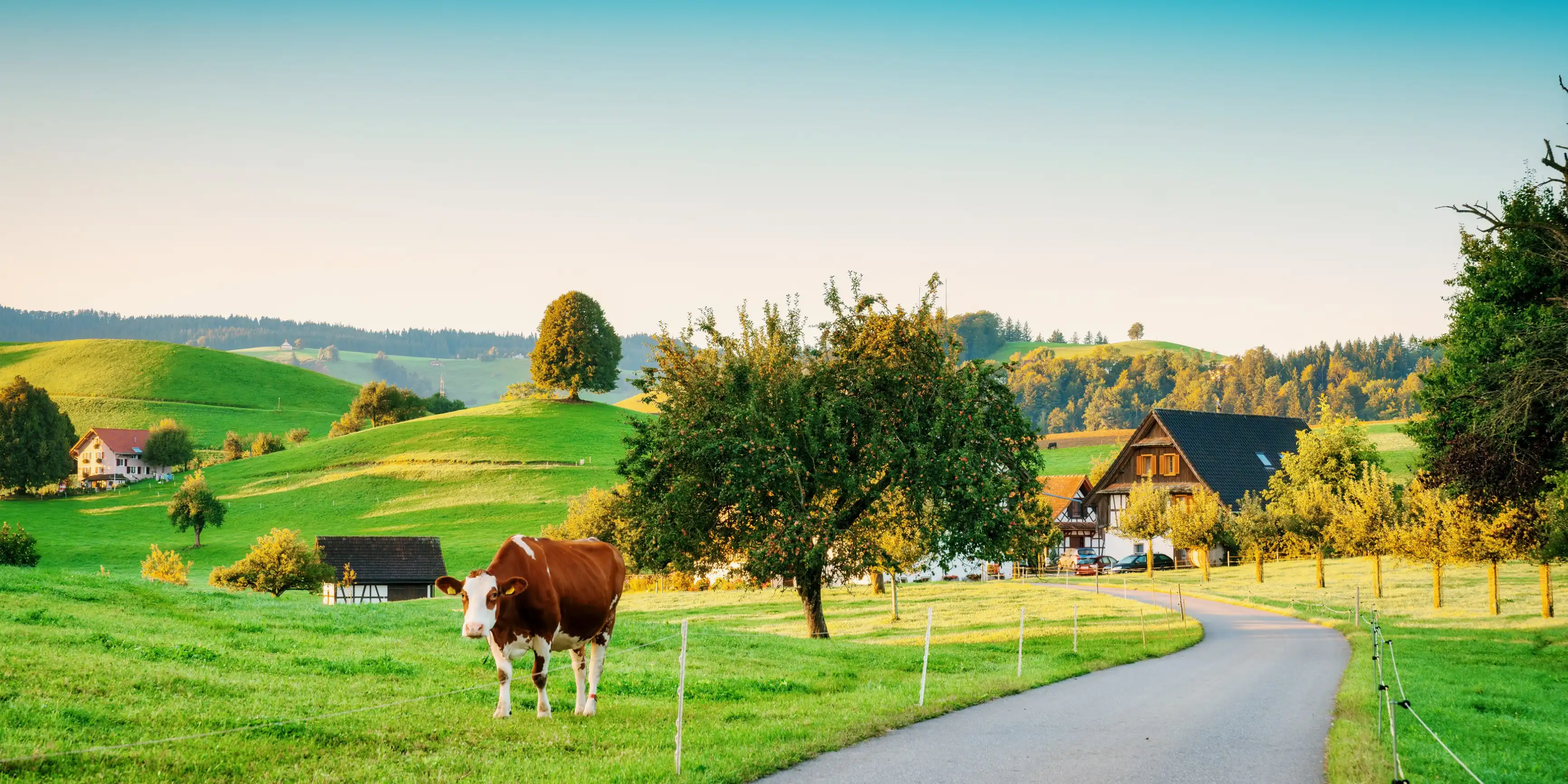 Hirzel, Zurich